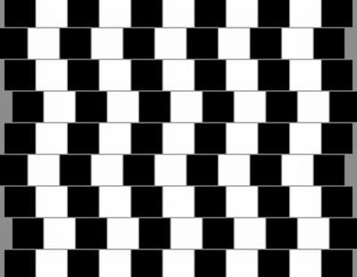 great-optical-illusions-03.jpg.d2518a979