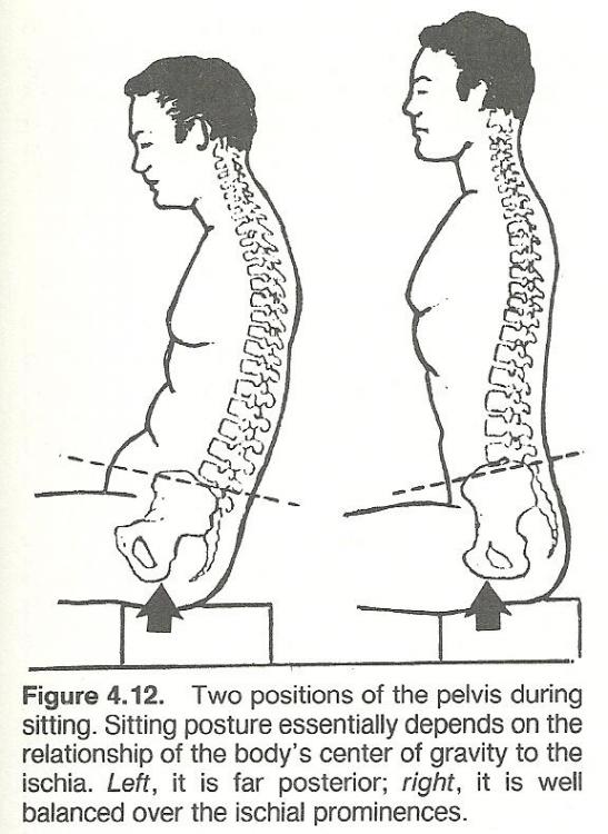 Body_Alignment_Figure12.jpg