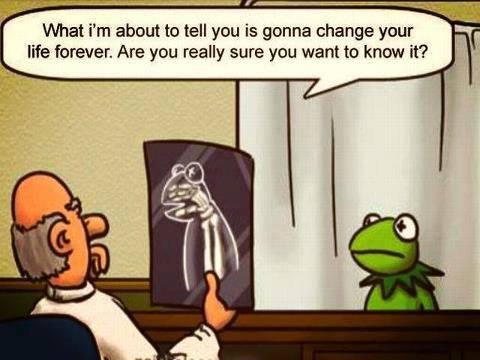 Funny-cartoon-Kermit-the-frog.jpg.c2bd68