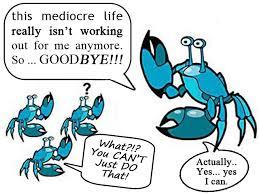 crabs1.jpg