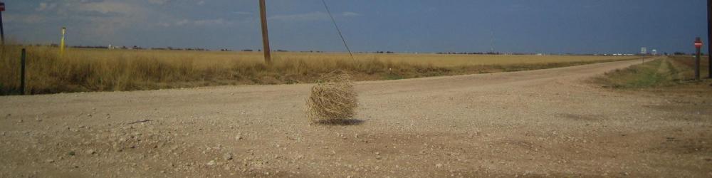 Tumbleweed_rolling-2.jpg