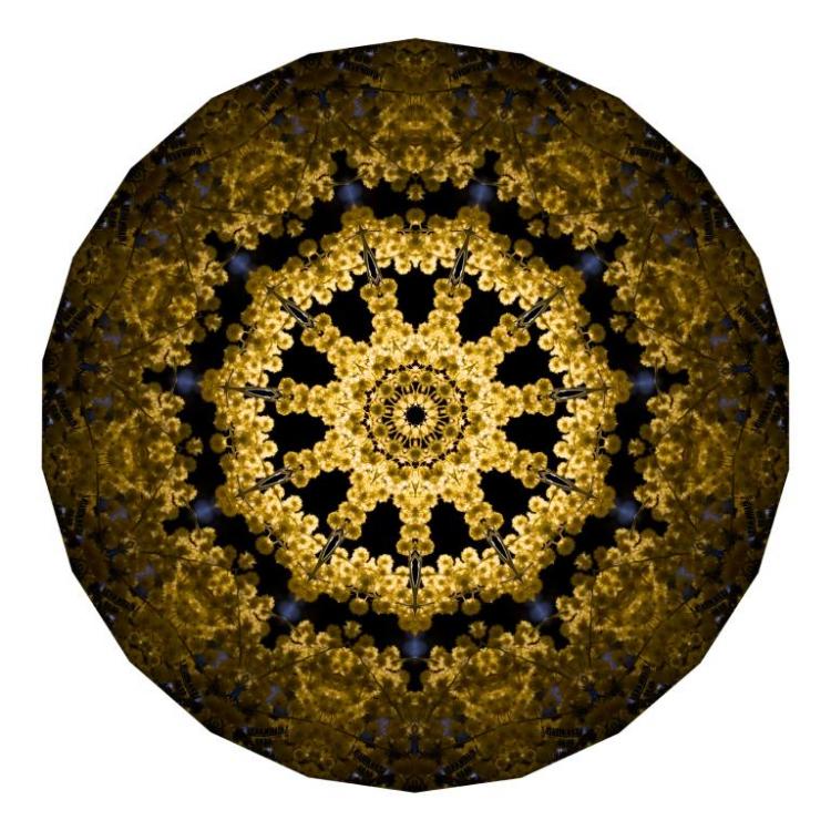 Universal Gateway chakra 10 .jpg