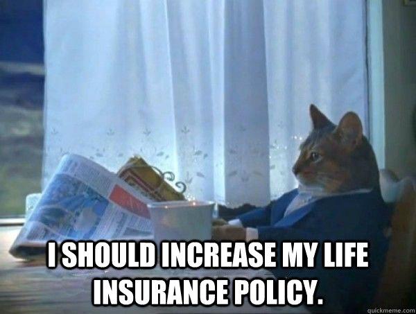 catInsurance.jpg