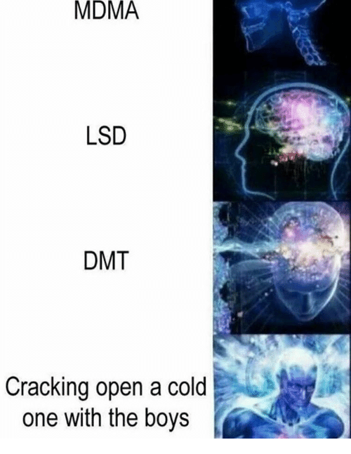 mdma-lsd-dmt-cracking-open-a-cold-one-with-the-16133238.png