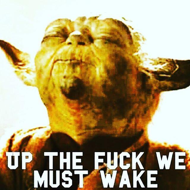 yoda.jpg