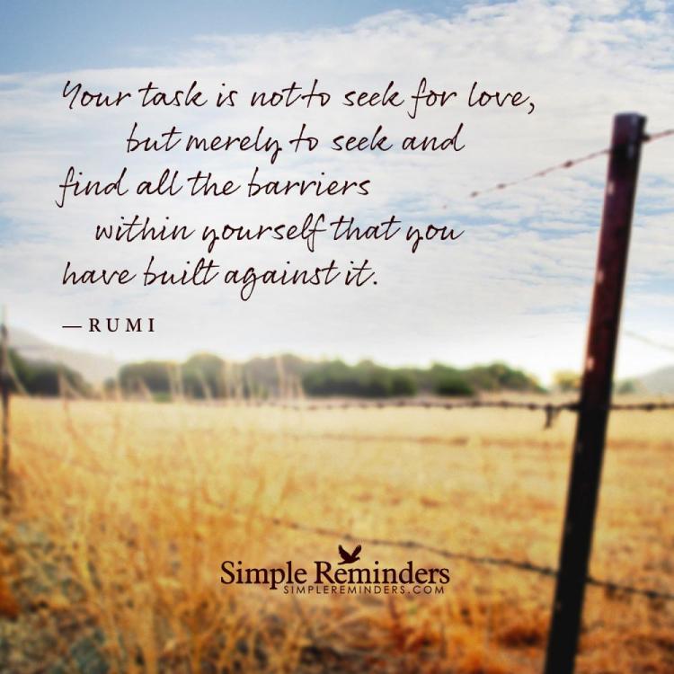 rumi-love-seek-barriers.jpg