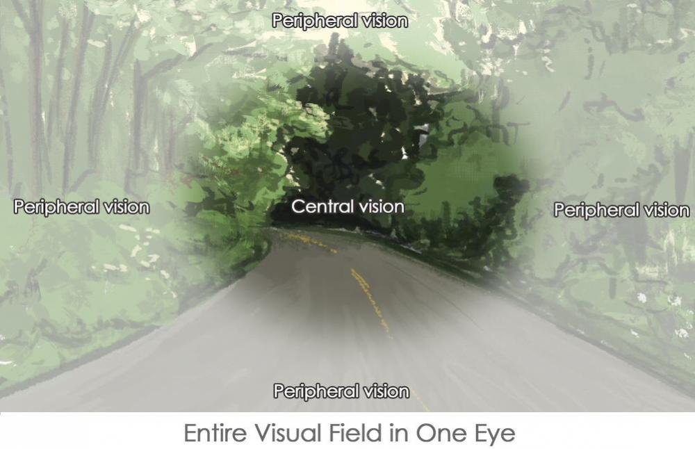 visual-field-of-the-eye.jpg