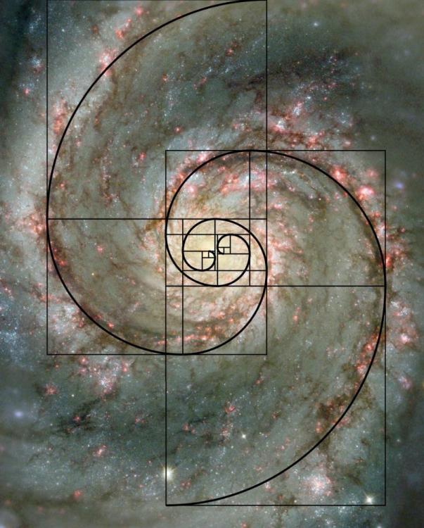 fibonacci-spiral-galaxy.jpg