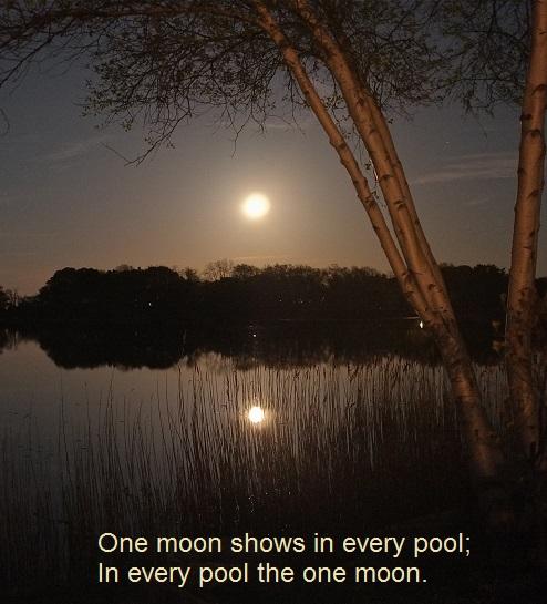 super-moon-niles-pond-gloucester.jpg