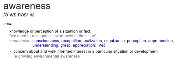 awarenessMeaning.png