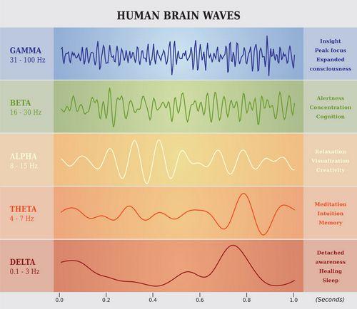 brain-waves-chart.jpg