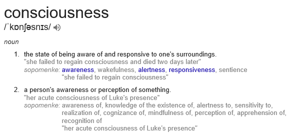 consciousnessMeaning.png