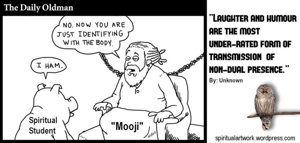 24-mooji-i-ham-humor.jpg