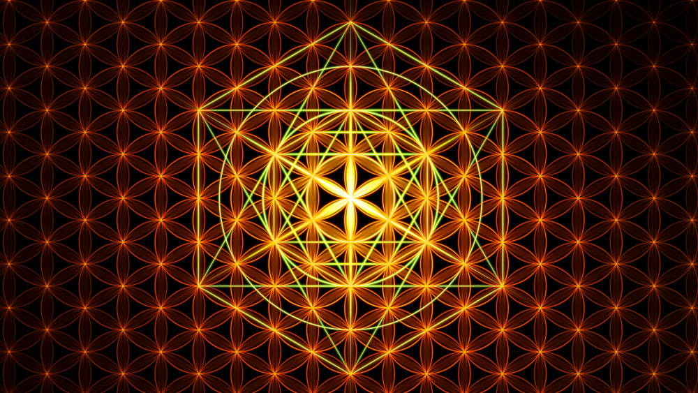 wizard13 flower of life JanRobbe.png