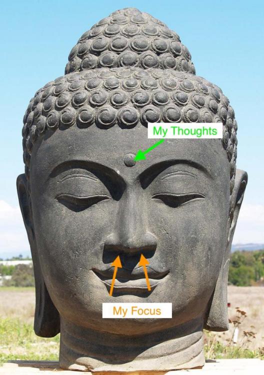 1-Buddha-Head-Fountain.jpg