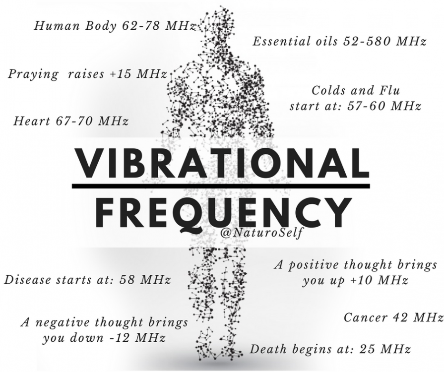 Vibrational+Frequency.png