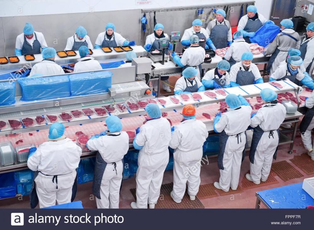 factory-workers-on-a-production-line-package-the-meat-products-for-FPPF7R.jpg