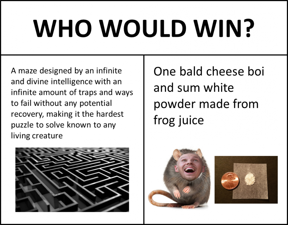 cheeseboi.png