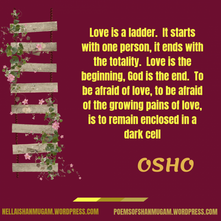 Love is a ladder. It starts with one person, it ends with the totality. Love is the beginning, God is the end. To be afraid of love, to be afraid of the growing pains of love, is to re.png