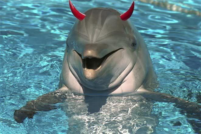evil-dolphins.jpg