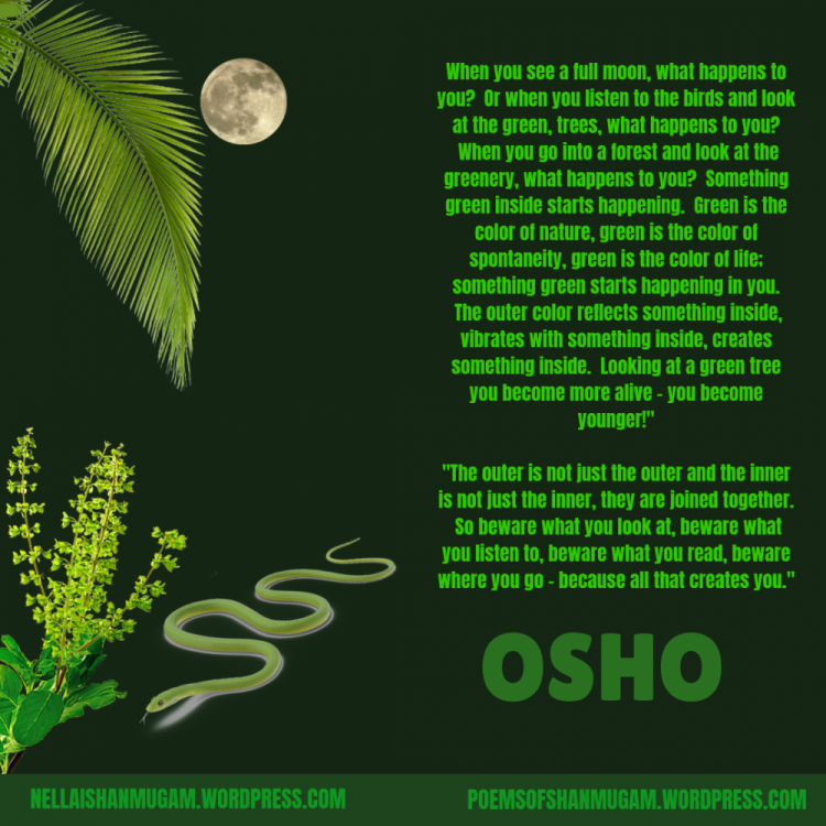 green-osho.png