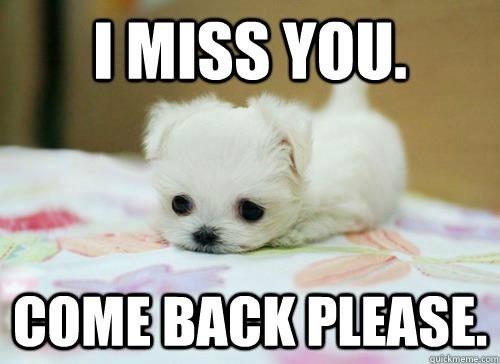 i-miss-you-come-back-please-puppy-b1f52.jpg