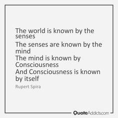 27e234dde988b4bf32a5c49ae86ff965--consciousness-the-world.jpg