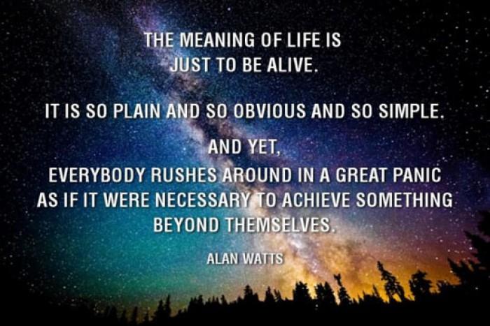 cosmos-alive-simple-quote.jpg