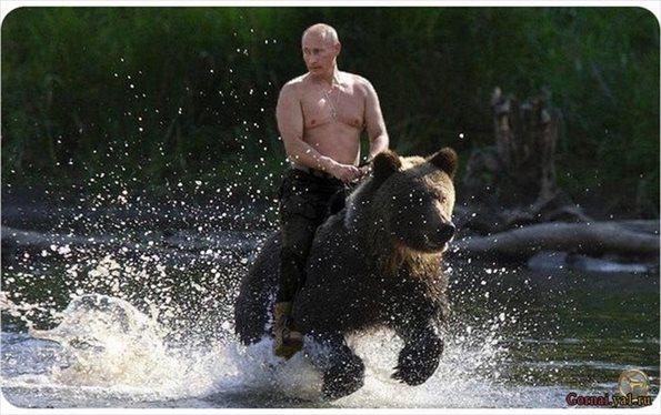 putin.jpg