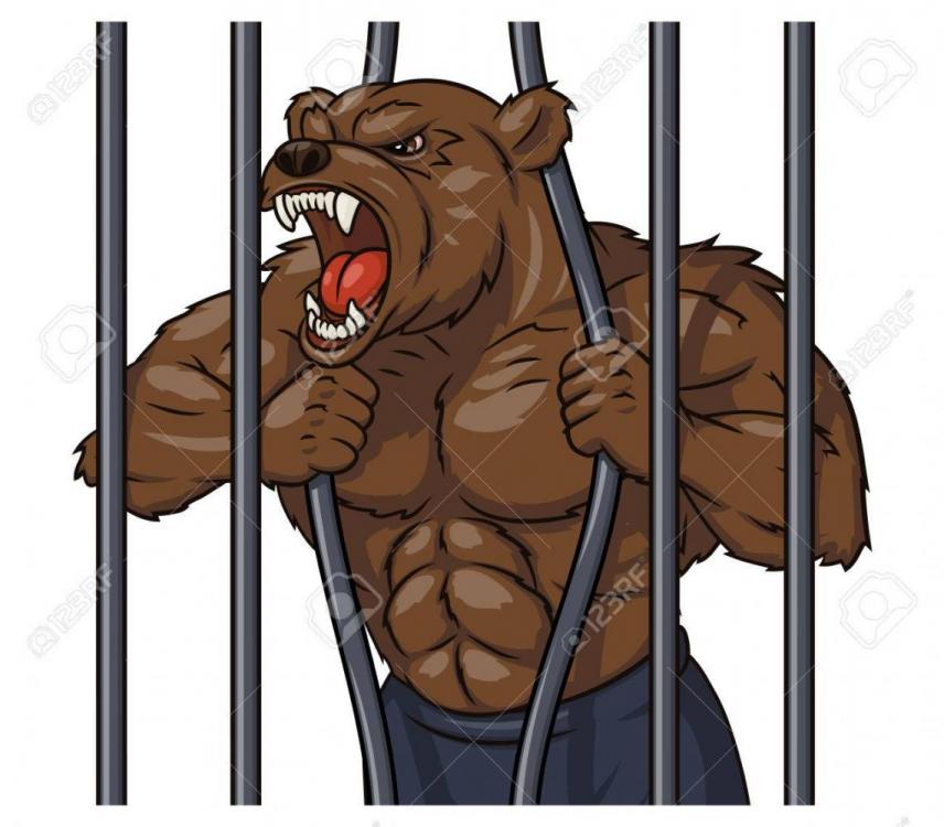 53519358-illustration-of-the-angry-bear-is-breaking-the-cage.jpg