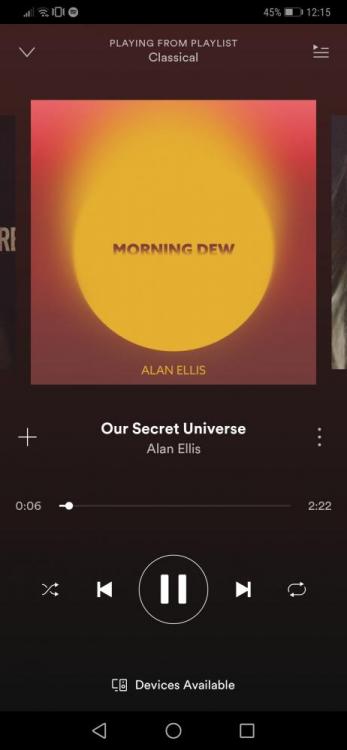 Screenshot_20190303_001544_com.spotify.music.jpg