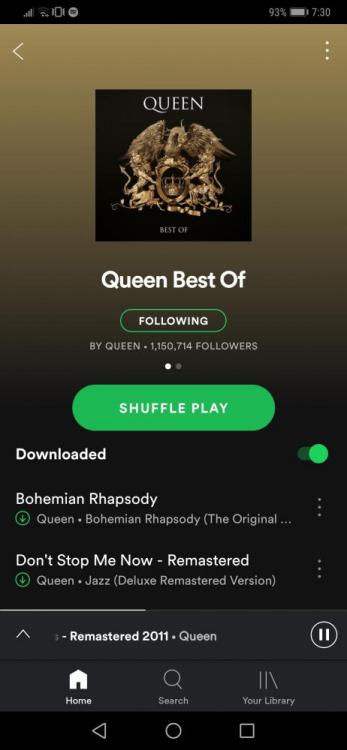 Screenshot_20190320_073014_com.spotify.music.jpg