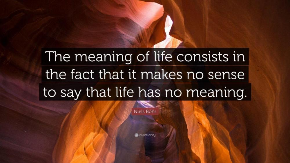 304993-Niels-Bohr-Quote-The-meaning-of-life-consists-in-the-fact-that-it.jpg