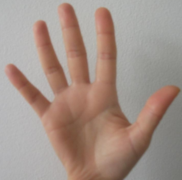 my hand 2.PNG