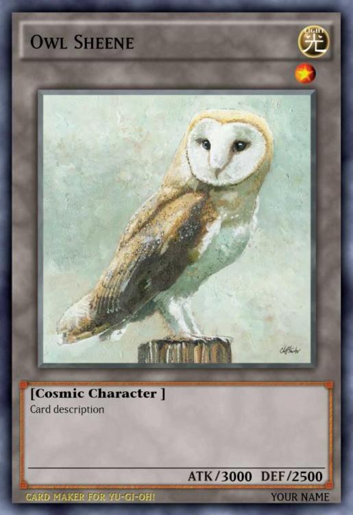 Owl.png