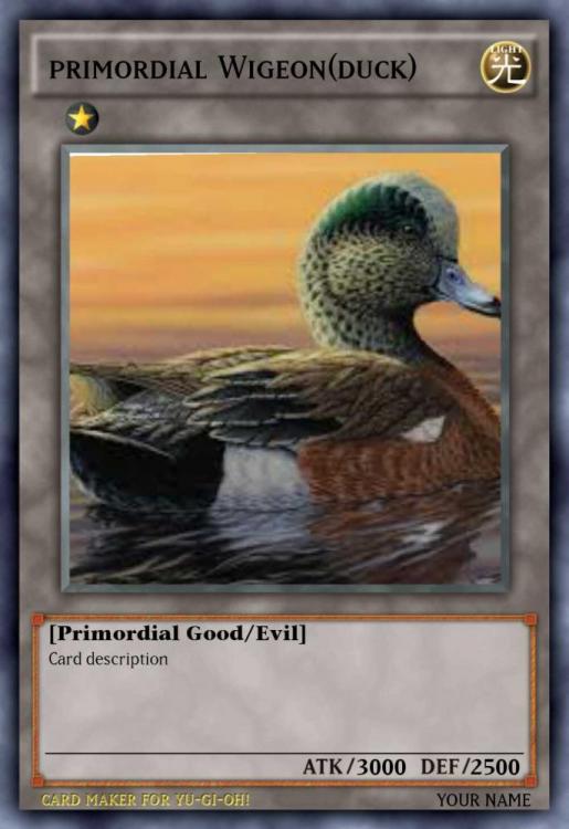 Wigeon.png