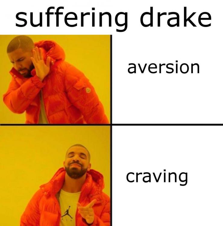 suffering drake.jpg