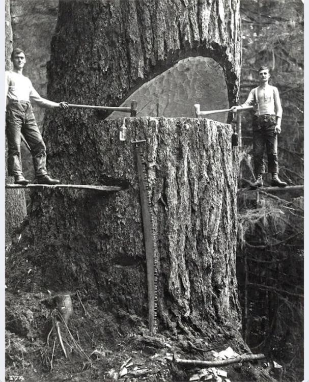 Cool-Old-Photos-Lumberjacks-in-Portland-Oregon-1915.jpg