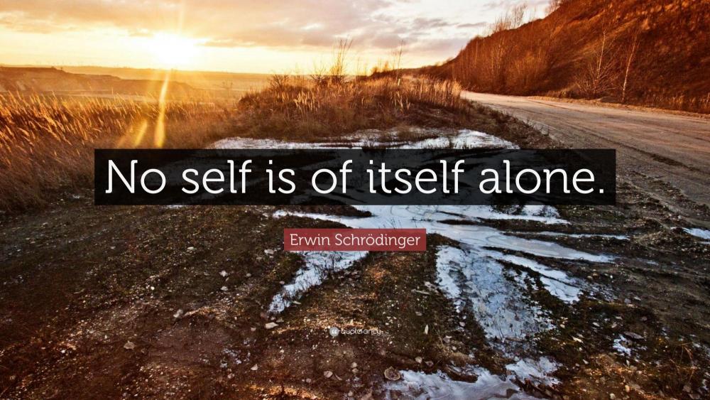 4915475-Erwin-Schr-dinger-Quote-No-self-is-of-itself-alone.jpg