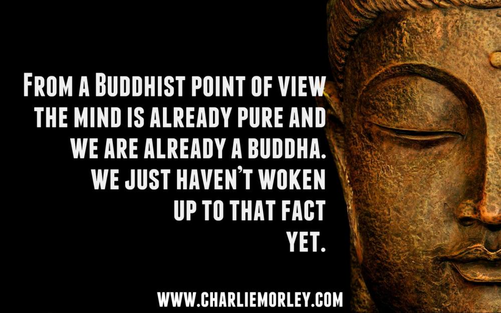 buddha-quote-LD.jpg