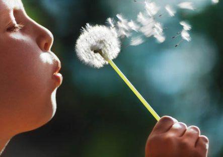 child-blowing-dandelion.jpg