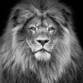 BHARATH