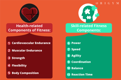 Training in the gym for optimal health - Health, Fitness ...