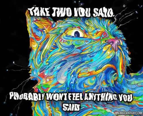 take-two-you-said-probably-wont-feel-anything-you-said-trip-psychedelic-cat-meme-1442028369.jpg