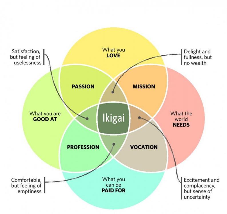 Ikigai-2.jpg