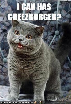 cheezeburger.jpg