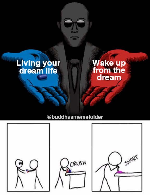 living the dream vs awaken.png