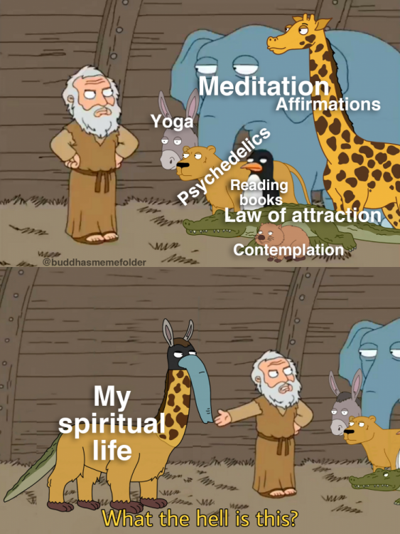 mixed spiritual life.png