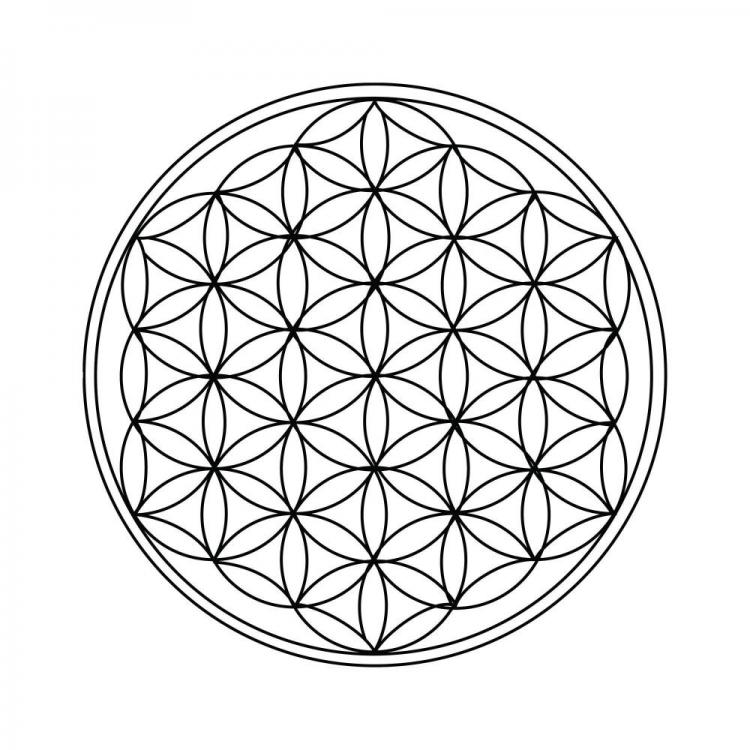 flower-of-life5.jpg