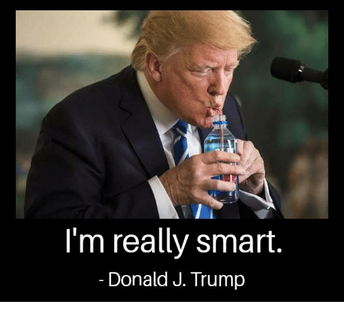 im-really-smart-donald-j-trump-30128464.png